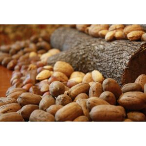 brazil nuts