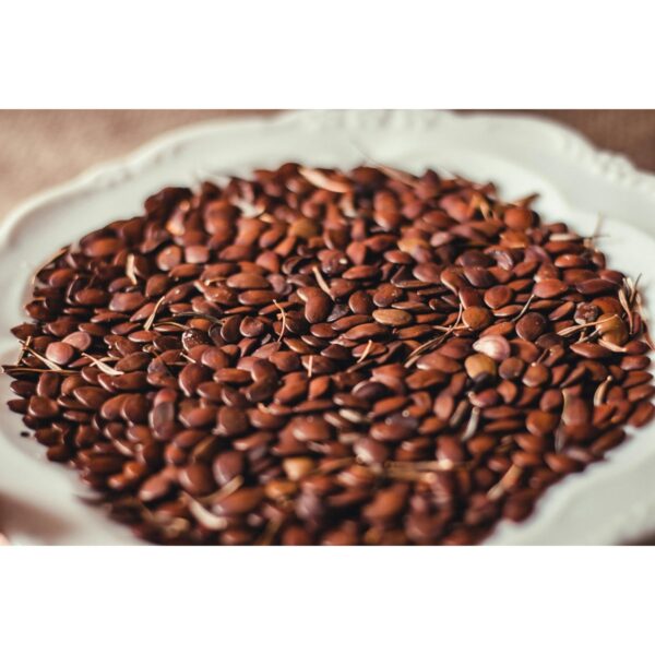 brown linseed
