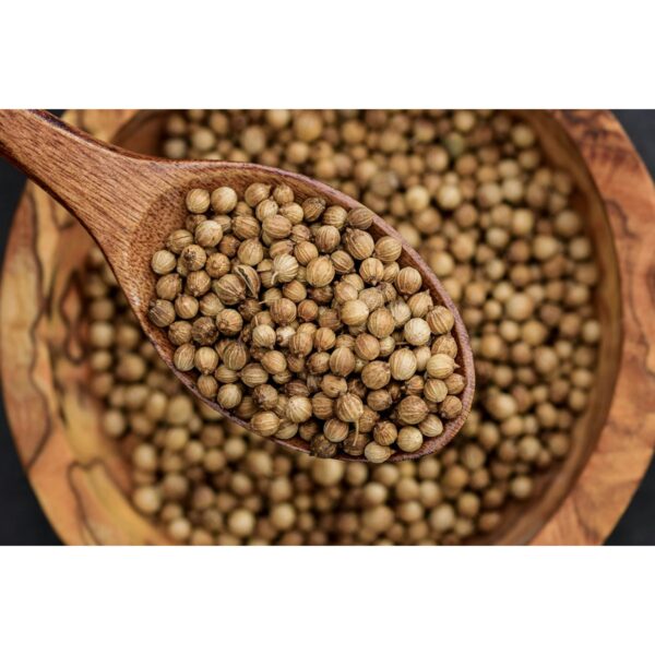 corriander seeds