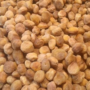 dried apricots