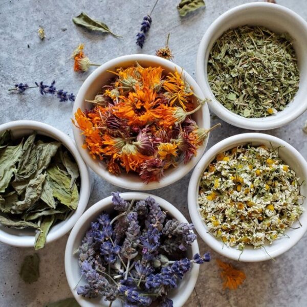 Herbs