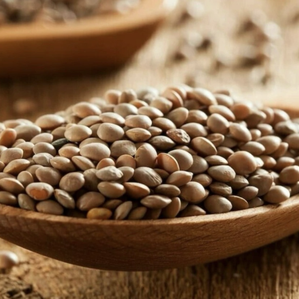 organic brown lentils