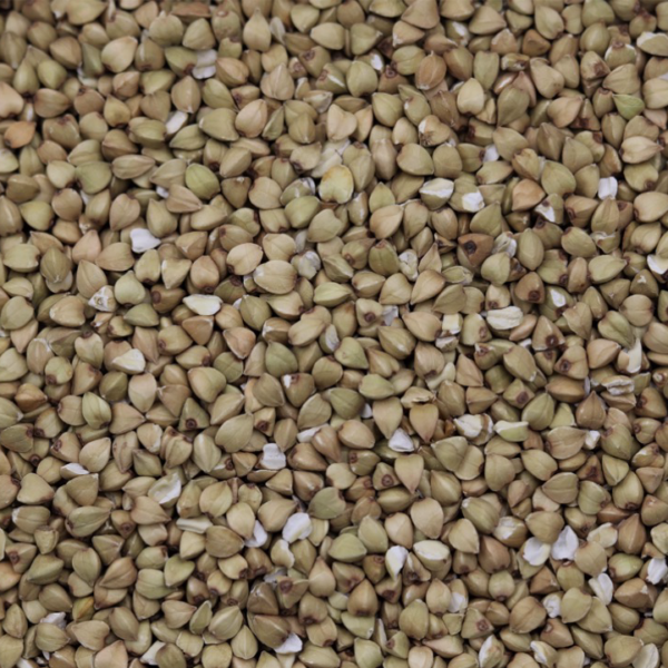 organic buckwheat