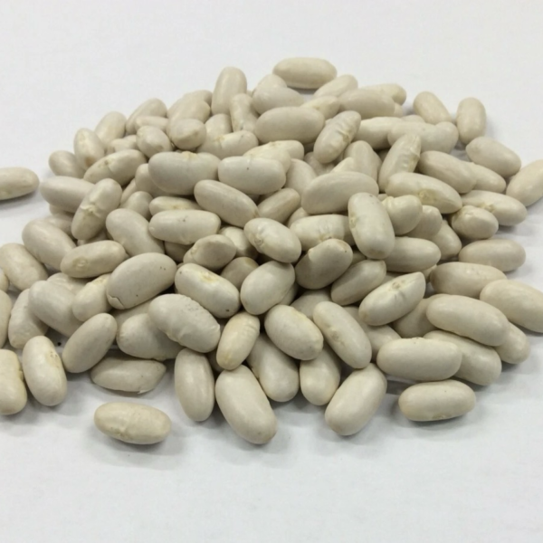 organic canneli beans