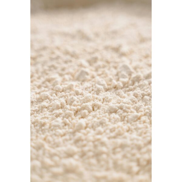 organic plain flour