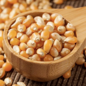 organic popping corn