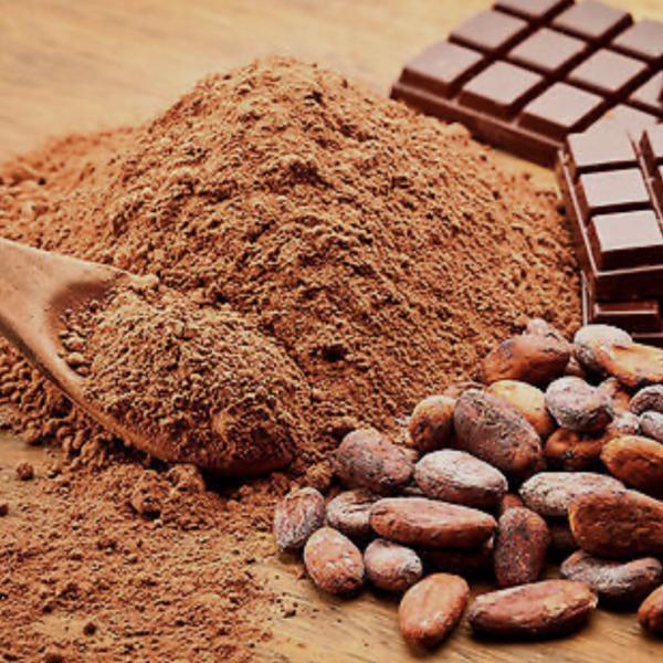 organic raw cacao powder