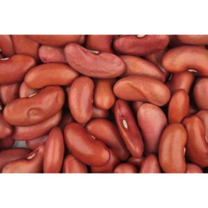 organic red kidney beans