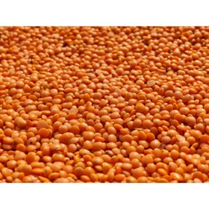 organic red split lentils