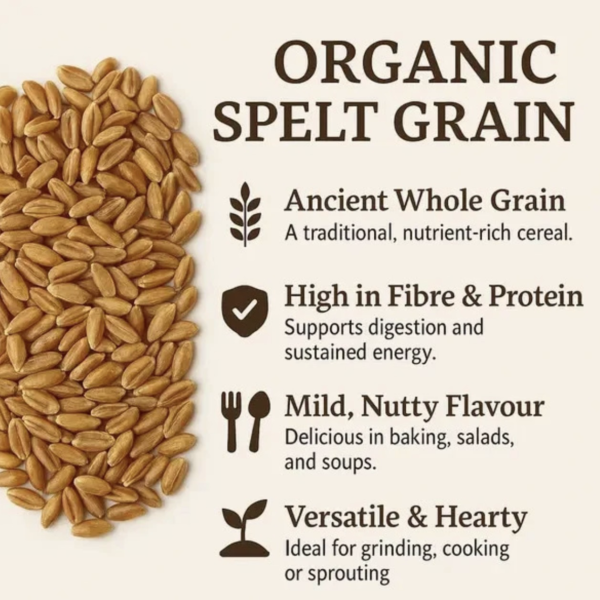 organic spelt grain
