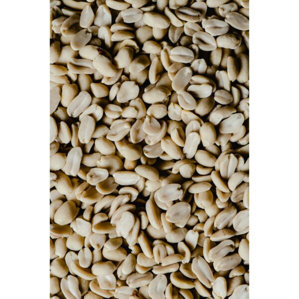 plain raw peanuts