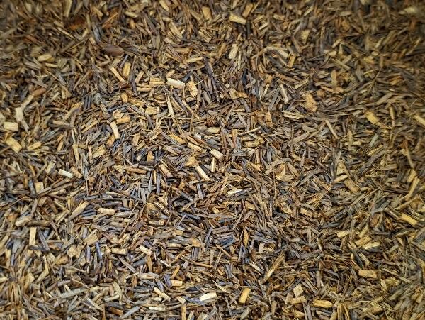 rooibos
