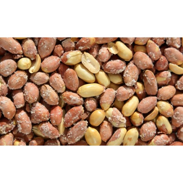 salted peanuts large