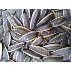 sunflower seeds