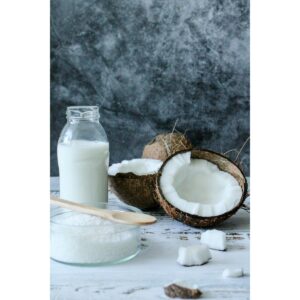 vegan coconut milk powder