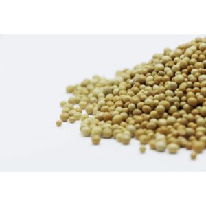 yellow mustard seeds